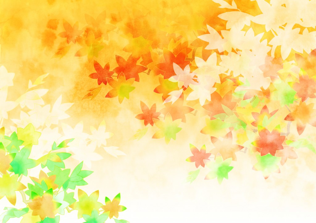 好きを仕事にするには必読書 空飛ぶ引きこもりライターが贈る電子書籍集 綴りみち 家に引きこもって好きなことを仕事にしたいあなたへ